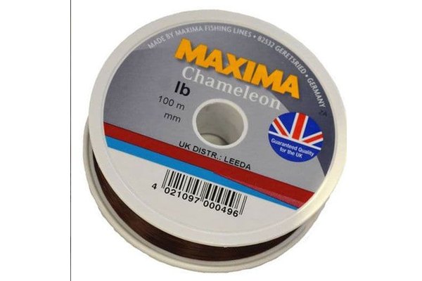 Maxima Chameleon