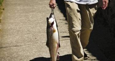 Catch and Keep Fishing