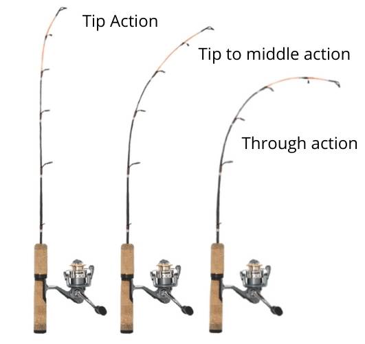 rod action for carp rods best action for carp rods