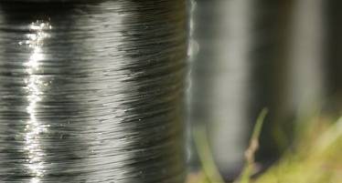 best fishing lines for carp fishing