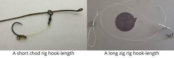 carp rigs for beginners - short vs long hook-lengths carp rigs for beginners - short vs long hook-links