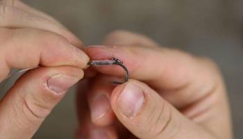 Carp fishing rigs for beginners - The D Rig - Step 5 Carp fishing rigs for beginners - The D Rig - Step 5
