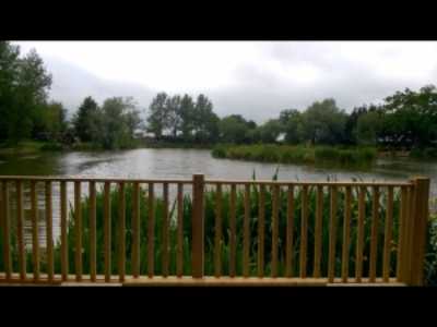 best uk fishing holidays - olivemead lake