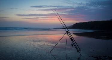 best fishing rod for beginners