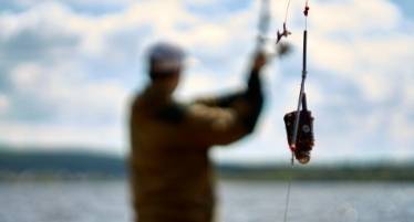 15 top feeder fishing tips