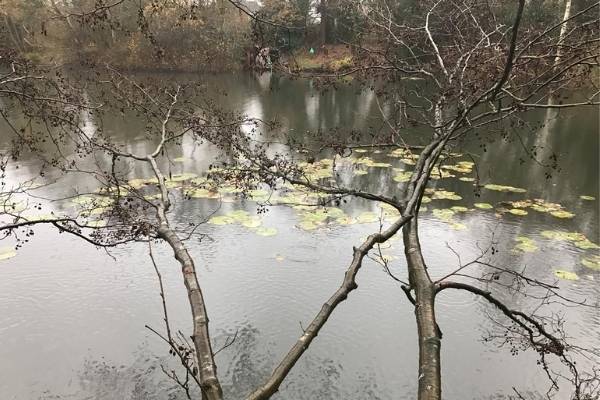 winter features - top carp fishing tips in winter top 10 carp fishing tips in winter
