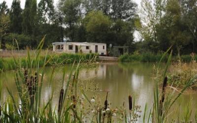 Bearley Lakes exclusive carp fishing venues in England