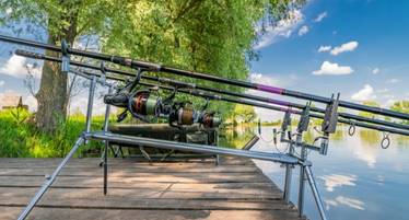 best carp fishing rod pods