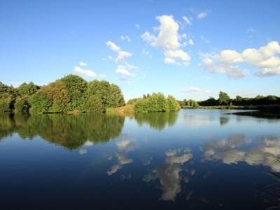 Best Pet Friendly Fishing holiday lodges