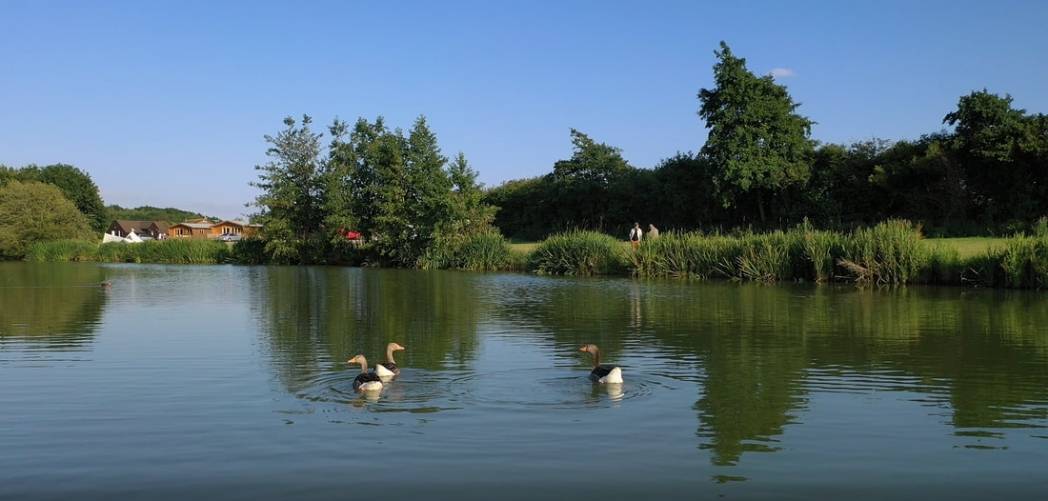Best Pet Friendly Fishing holiday lodges
