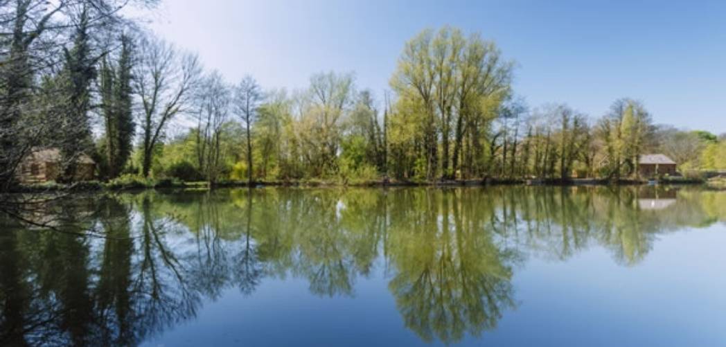 Carpdell Fishery English Exclusive Carp Lakes