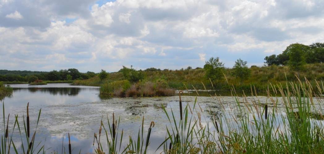 Nirvana Lake 50lb carp lakes in the UK