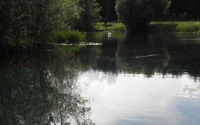 Stuffins Exclusive carp lakes in England