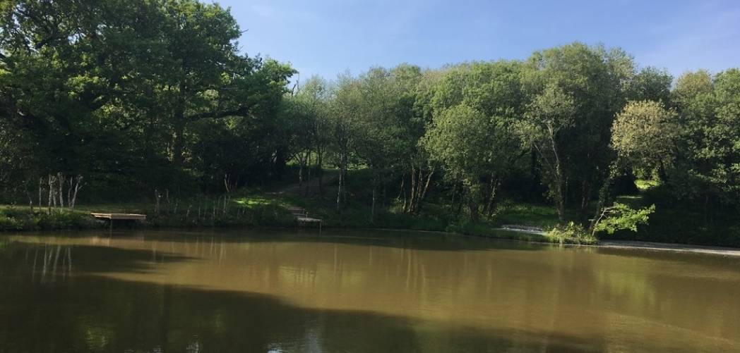 Pet Friendly Log Cabins with Fishing 
