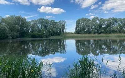 Woolpack Fishery Exclusive Carp Fishing Lakes In England