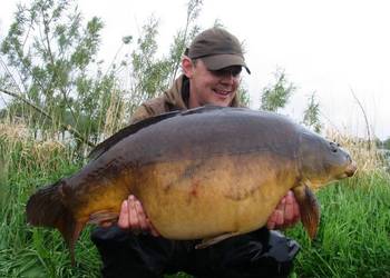 willows lake best uk 50lb carp lakes