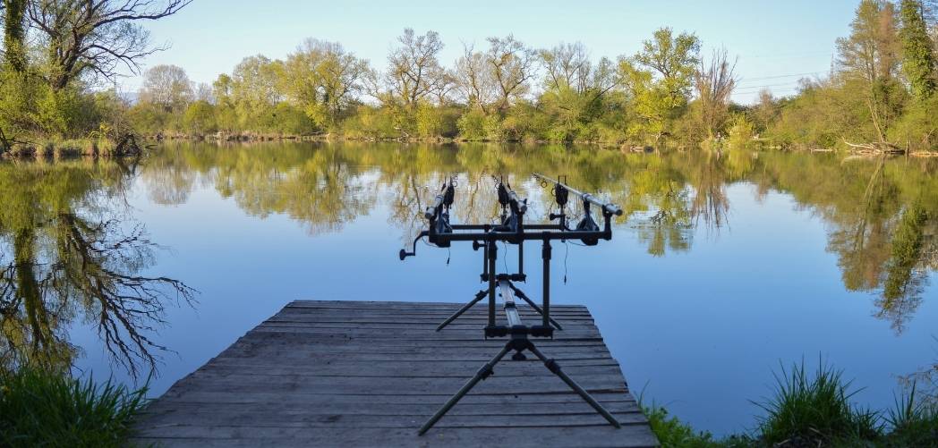 Carp Fishing For Beginners