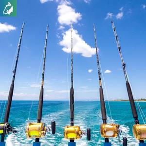 best fishing rod for beginners